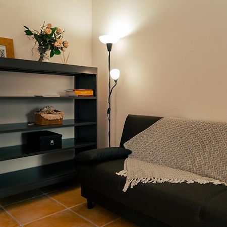 La Terrazza Sul Reno - In Pieno Centro-Due Passi Da Villa Chiara - Comodo Unipol Arena Casalecchio Di Reno Exteriér fotografie